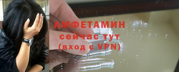 сатива Беломорск