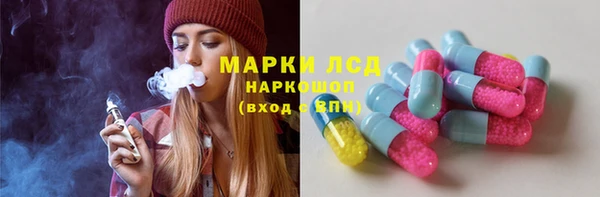 сатива Беломорск