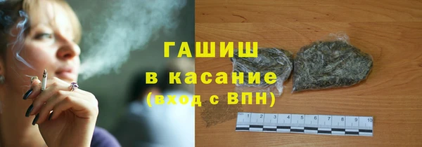 сатива Беломорск