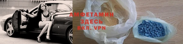 сатива Беломорск