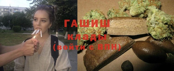 сатива Беломорск