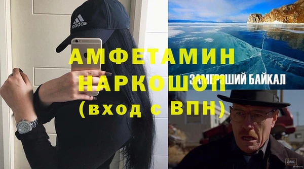 сатива Беломорск