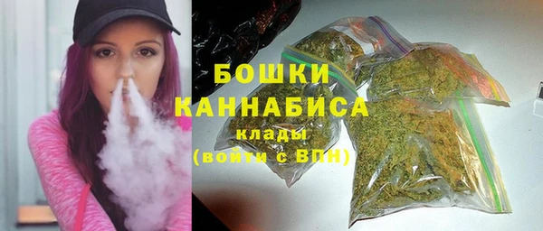 сатива Беломорск