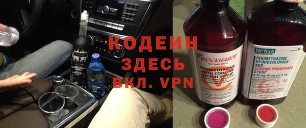 сатива Беломорск