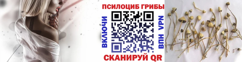 darknet официальный сайт  Цимлянск  Псилоцибиновые грибы прущие грибы 