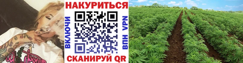 купить наркотик  Цимлянск  Шишки марихуана AK-47 